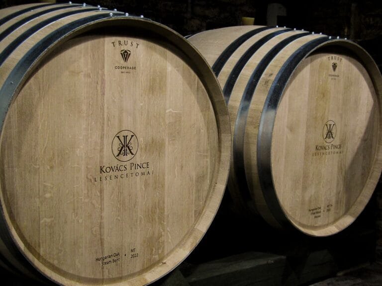 475708355_1096349545823274_5614569412471765024_n