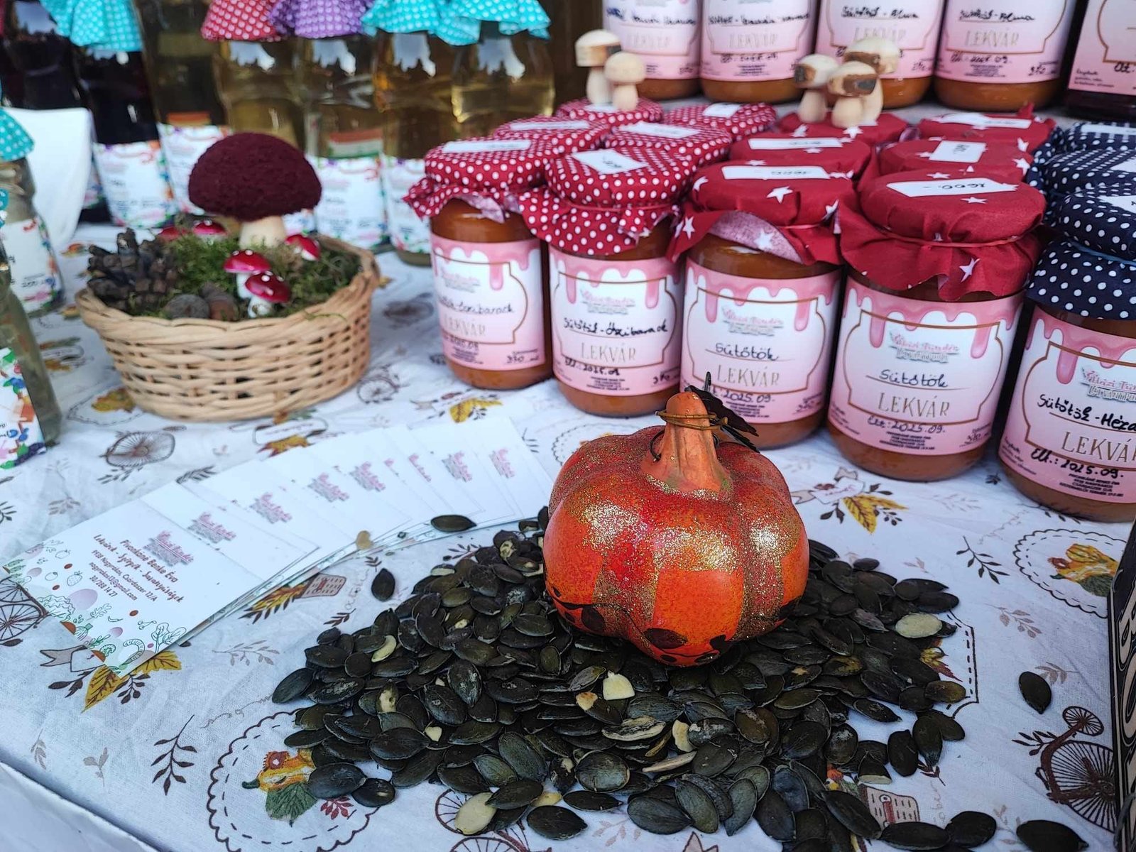 481301712_656292393585127_5450062192909954713_n