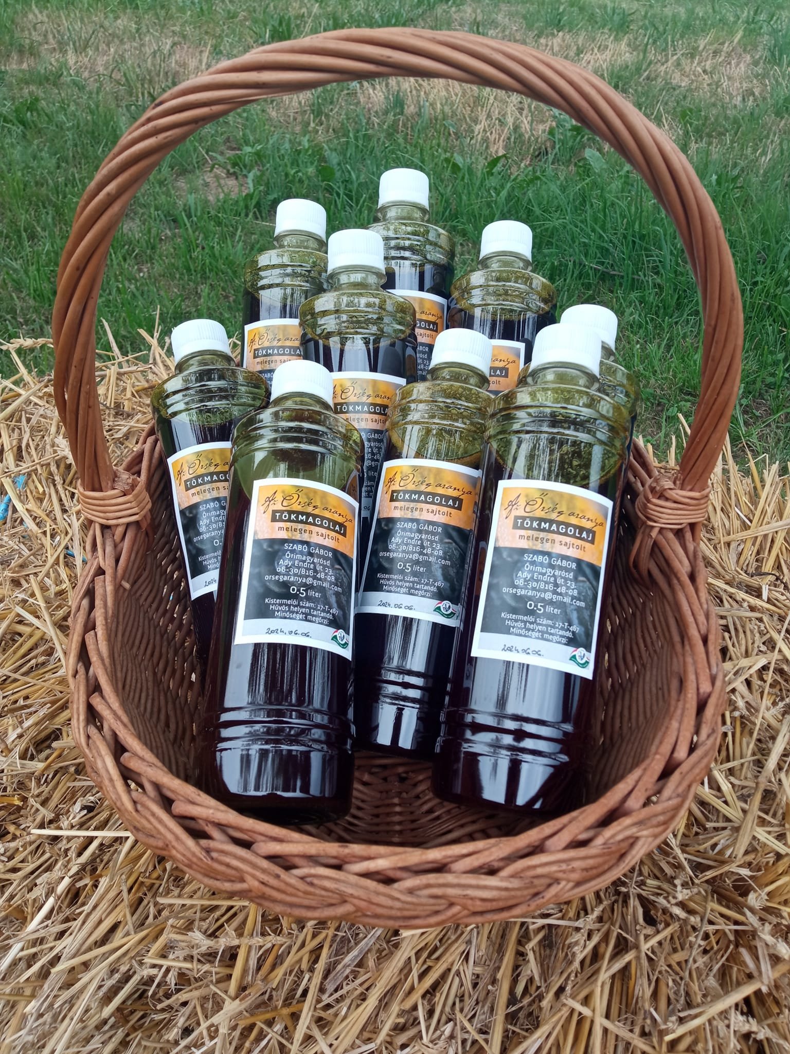 484941668_1151054340366187_7036226722358374244_n