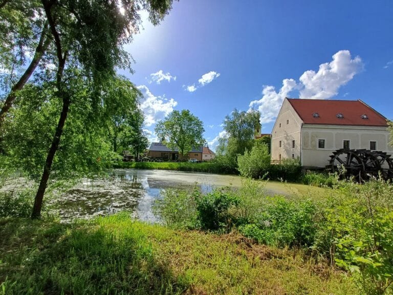 490222410_1227040869425467_7555997579255848385_n