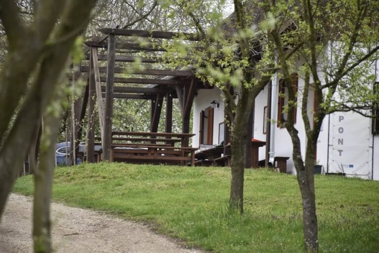 491443779_18301890763241001_7322424236359252024_n