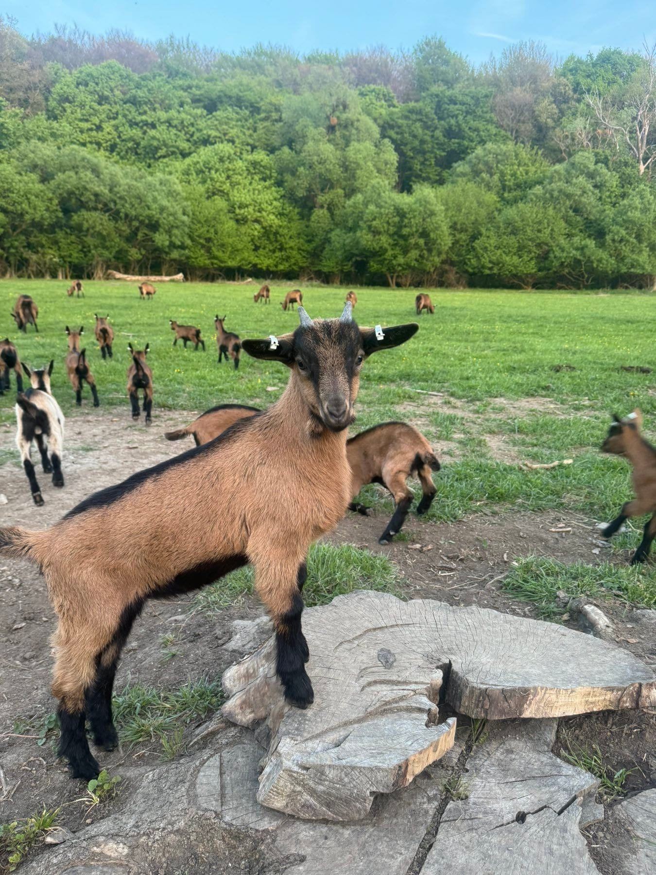 495371957_122142820796587891_3011469355863579555_n