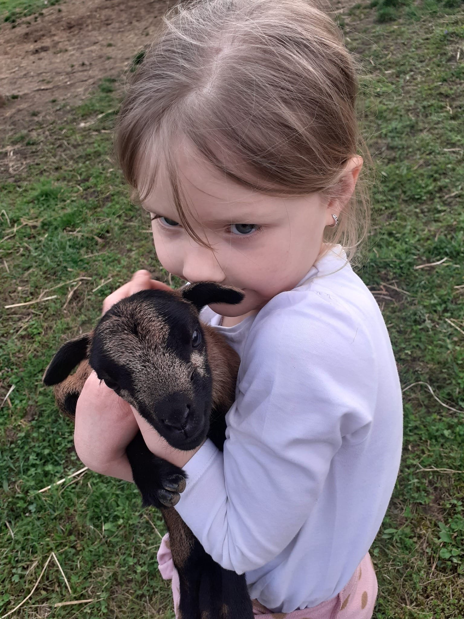 504836155_122099702492903872_2182241196046005640_n