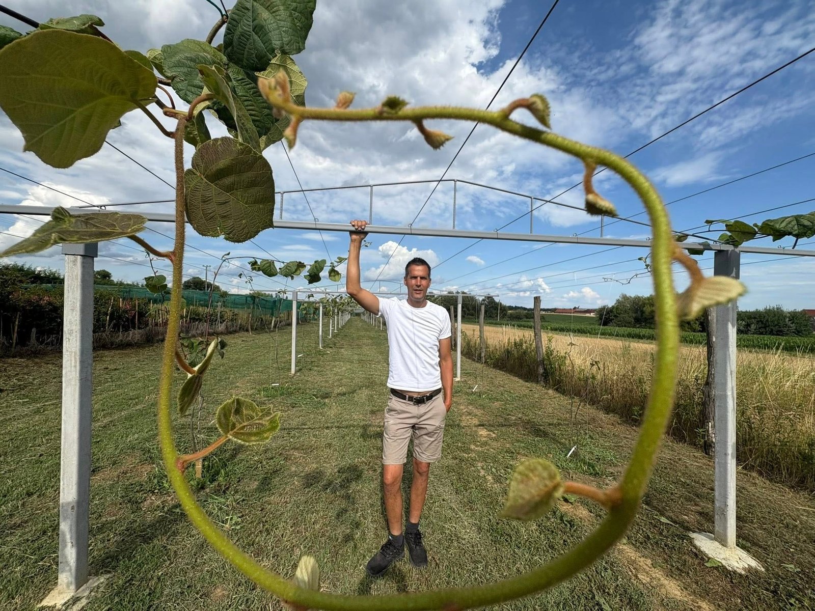 517371785_1290312926430454_8721563776415178059_n