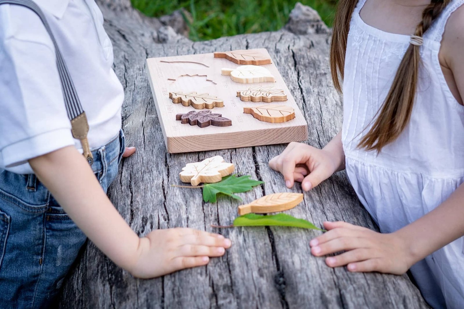 482828594_1065880075581348_6745120967193605614_n